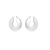 1 Pair Simple Style Commute Shiny Irregular Geometric Circle Plating Stainless Steel Earrings main image 3