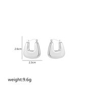 1 Pair Simple Style Commute Shiny Irregular Geometric Circle Plating Stainless Steel Earrings sku image 10