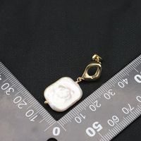 1 Paire Dessin Original Géométrique Placage Perle D'eau Douce Matériaux Mixtes Plaqué Or 18k Boucles D'oreilles main image 2