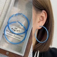 1 Pair Ig Style Simple Style Round Stoving Varnish Plating Alloy Hoop Earrings sku image 7