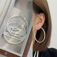 1 Pair Ig Style Simple Style Round Stoving Varnish Plating Alloy Hoop Earrings sku image 15