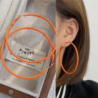 1 Pair Ig Style Simple Style Round Stoving Varnish Plating Alloy Hoop Earrings sku image 20