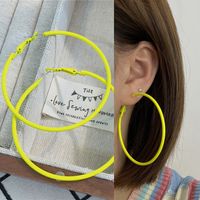 1 Pair Ig Style Simple Style Round Stoving Varnish Plating Alloy Hoop Earrings sku image 22