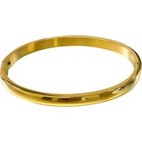 Simple Style Solid Color Titanium Steel Plating Bangle main image 4