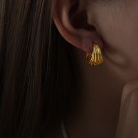 1 Paar Einfacher Stil Einfarbig Überzug Titan Stahl 18 Karat Vergoldet Ohrringe main image 6