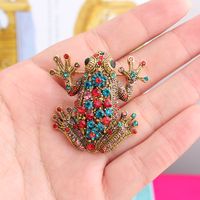 Style Cool Brillant Animal Grenouille Alliage Incruster Strass Unisexe Broches main image 7