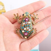 Style Cool Brillant Animal Grenouille Alliage Incruster Strass Unisexe Broches main image 6