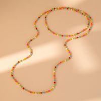 Großhandel Schmuck Vintage-Stil Einfacher Stil Farbblock Saatperle Perlen Überzug Lange Halskette main image 2