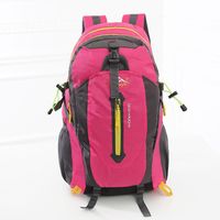 Unisex Polyester Solid Color Fashion Zipper Functional Backpack sku image 5