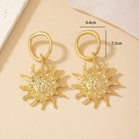 Wholesale Jewelry Lady Streetwear Geometric Alloy Plating Drop Earrings main image 5