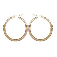 1 Pair Simple Style Solid Color Plating Stainless Steel Hoop Earrings main image 2