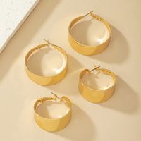 2 Pairs Elegant Glam Formal Circle Polishing Plating Metal Ferroalloy 14k Gold Plated Hoop Earrings main image 3