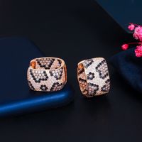 1 Pair Casual Elegant Rock Snakeskin Plating Inlay Copper Zircon Rose Gold Plated White Gold Plated Rhodium Plated Ear Studs main image 8