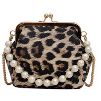 Women's Small Pu Leather Leopard Basic Vintage Style Square Buckle Shoulder Bag Crossbody Bag main image 1