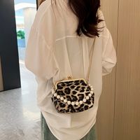 Women's Small Pu Leather Leopard Basic Vintage Style Square Buckle Shoulder Bag Crossbody Bag main image 4