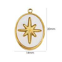 1 Piece 304 Stainless Steel Shell Diamond 14K Gold Plated Star Floral sku image 7