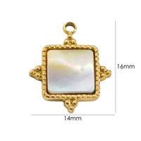 1 Piece 304 Stainless Steel Shell Diamond 14K Gold Plated Star Floral sku image 3