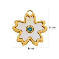 1 Piece 304 Stainless Steel Shell Diamond 14K Gold Plated Star Floral sku image 1