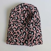 Unisex Simple Style Leopard Crimping Wool Cap main image 3