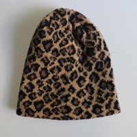 Unisex Simple Style Leopard Crimping Wool Cap sku image 3