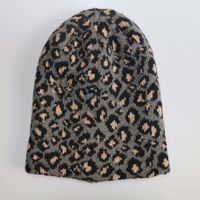 Unisex Simple Style Leopard Crimping Wool Cap main image 2