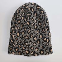 Unisexo Estilo Simple Leopardo Prensado Gorro De Lana main image 2