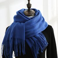Women's Simple Style Solid Color Imitation Cashmere Scarf sku image 19