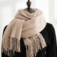 Women's Simple Style Solid Color Imitation Cashmere Scarf sku image 16