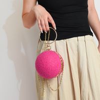 Women's Small All Seasons Wool Lamb Solid Color Vintage Style Round Lock Clasp Circle Bag Evening Bag main image 5