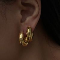 1 Pair Ig Style Classic Style C Shape Stainless Steel 14k Gold Plated Ear Studs main image 5
