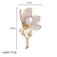 Estilo Ig Flor Cobre Enchapado Metal Embutido Cristal Artificial Perlas De Agua Dulce Mujeres Broches 1 Pieza sku image 5