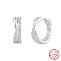 1 Pair Original Design Modern Style Classic Style Stripe Side Stripe Plating Sterling Silver 14k Gold Plated White Gold Plated Silver Plated Earrings sku image 2