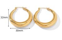 1 Paar Einfacher Stil Kreis Überzug Rostfreier Stahl Vergoldet Reif Ohrringe main image 3