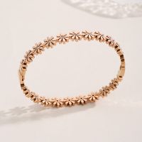 Classic Style Solid Color Titanium Steel Plating Gold Plated Bangle main image 2