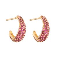 1 Pair Elegant Shiny C Shape Plating Inlay Copper Zircon 18k Gold Plated Earrings Ear Studs main image 6