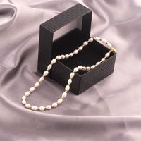 Lady Solid Color Freshwater Pearl Titanium Steel Beaded Plating Necklace main image 1