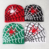 Unisex Hip-hop Vintage Style Spider Spider Web Eaveless Wool Cap main image 4