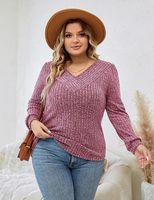 Women's T-shirt Long Sleeve T-shirts Casual Solid Color main image 5