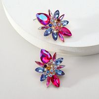 1 Paire Élégant Luxueux Brillant Géométrique Fleur Placage Incruster Alliage De Zinc Strass Boucles D'oreilles sku image 2