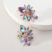 1 Paire Élégant Luxueux Brillant Géométrique Fleur Placage Incruster Alliage De Zinc Strass Boucles D'oreilles sku image 5