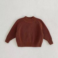 Basic Einfarbig Baumwolle Hoodies & Strickwaren sku image 17