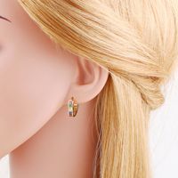 1 Pair Sweet Heart Shape Plating Inlay Alloy Zircon Gold Plated Hoop Earrings main image 6