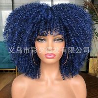 Women's Hip-hop Street High Temperature Wire Bangs Short Curly Hair Wigs sku image 7