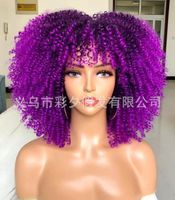 Women's Hip-hop Street High Temperature Wire Bangs Short Curly Hair Wigs sku image 9