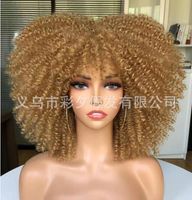 Women's Hip-hop Street High Temperature Wire Bangs Short Curly Hair Wigs sku image 11