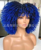 Women's Hip-hop Street High Temperature Wire Bangs Short Curly Hair Wigs sku image 12
