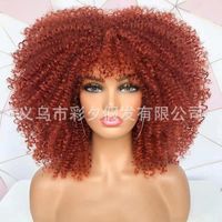 Women's Hip-hop Street High Temperature Wire Bangs Short Curly Hair Wigs sku image 8