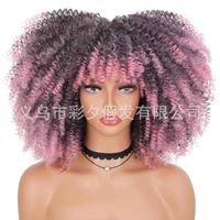 Women's Hip-hop Street High Temperature Wire Bangs Short Curly Hair Wigs sku image 14