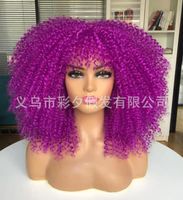 Women's Hip-hop Street High Temperature Wire Bangs Short Curly Hair Wigs sku image 15