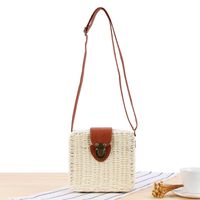 Women's Small Spring&summer Paper String Vintage Style Straw Bag sku image 1